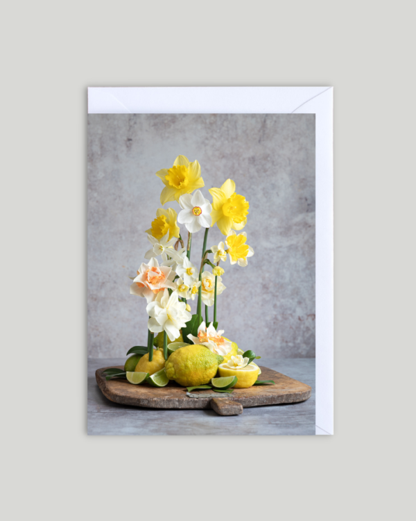 Kort med kuvert Citrus & Narcisser